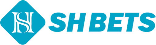 vnshbets.net Logo